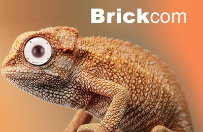 BRICKCOM 金砖通讯全景摄像机案例